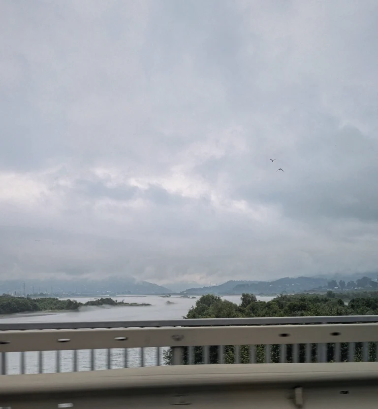 A photo taken from a bridge, looking down on the Chorokhi River near Batumi. Low-lying mist covers the water, with green, tree-lined banks. In the distance, hazy mountains are visible under a grey, cloudy morning sky, where two birds are flying.