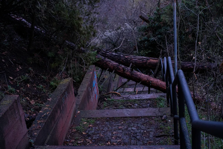 Photograph showing large fallen trees completely blocking the stone steps of Mtatsminda stairs in Tbilisi, Georgia, after a storm. Image by Georgian artist Zurab Kostava, representing life's unexpected obstacles.