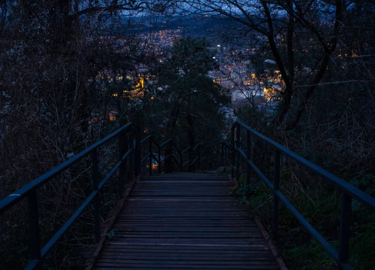 Night view of Tbilisi city lights seen from the historic Mtatsminda stairs, nestled amidst trees and nature. Atmospheric photograph captured by Georgian artist Zurab Kostava.