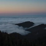 Breathtaking sunset view from Bakhmaro, Guria, Georgia, looking over a vast sea of clouds illuminated by golden light. One of the most beautiful sights. Landscape photography by Georgian artist Zurab Kostava.
