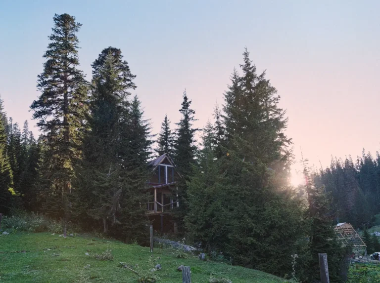 A picturesque wooden house nestled deep within the lush green forest of Bakhmaro, Guria, Georgia. Atmospheric landscape photo captured by Georgian artist Zurab Kostava.