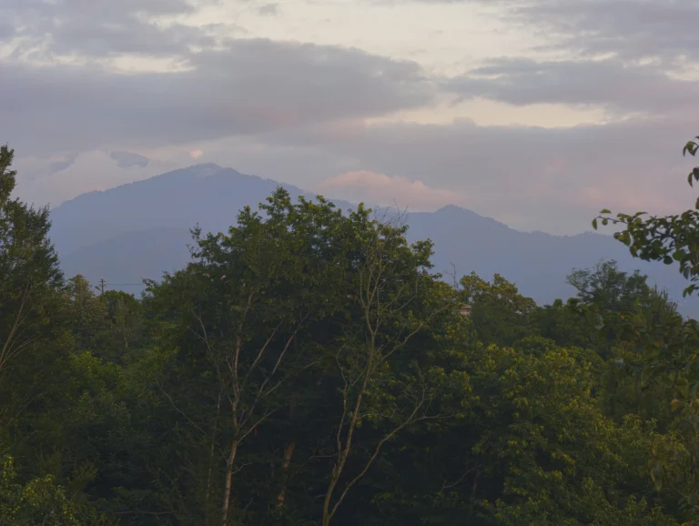 View from balcon