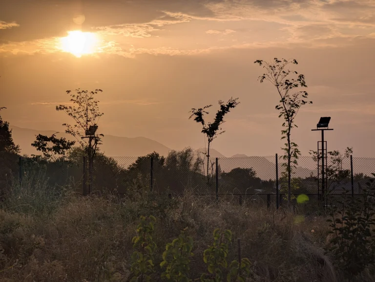 golden sunset 1